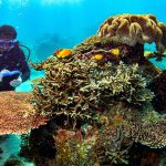 PHOTO-2026-04-09-16-51-06